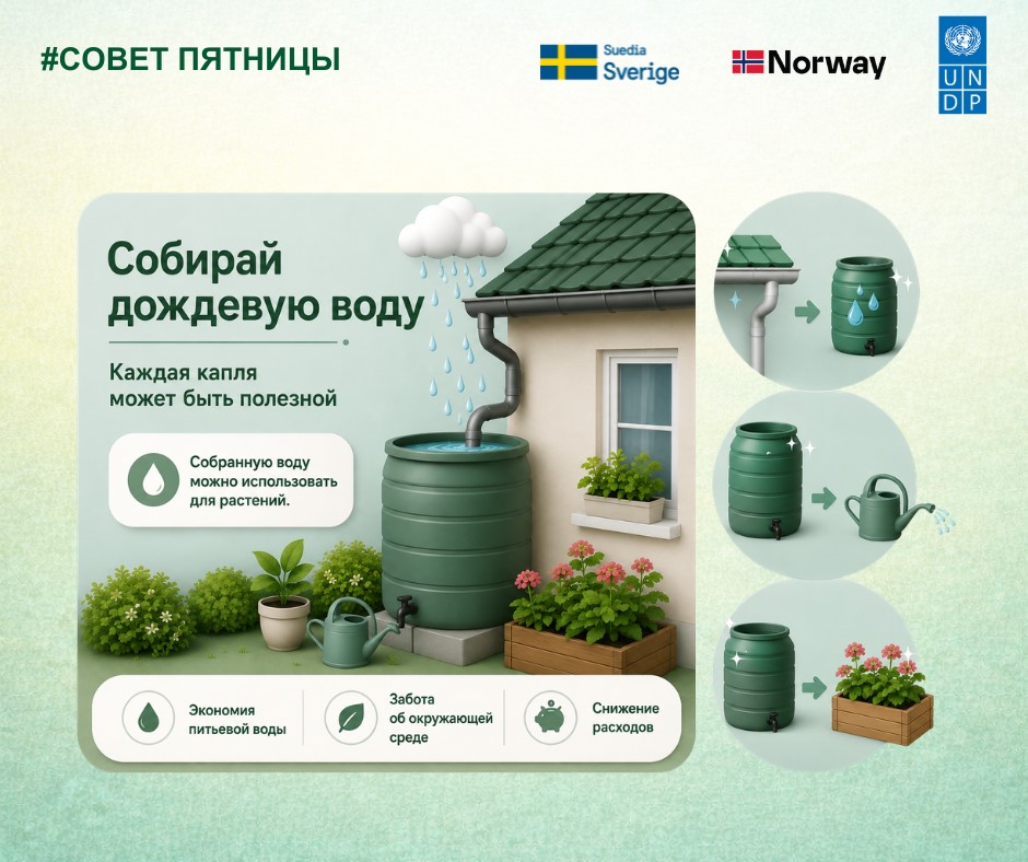 sfv 29 05 ru
